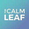 The Calm Leaf