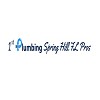 1st Plumbing Spring Hill FL Pros