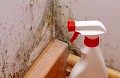 Coral Ridge Mold Inspections